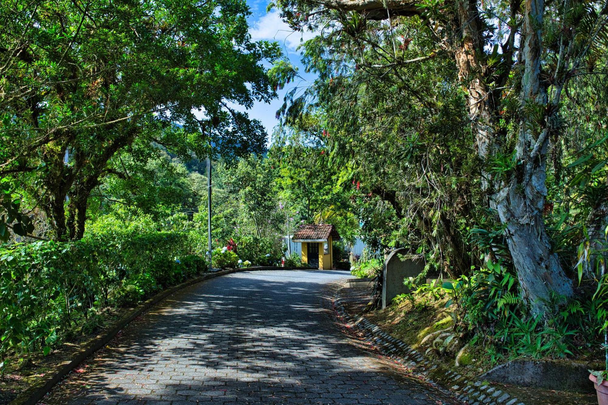 Hotel Villa Zurqui San Isidro  Exteriör bild
